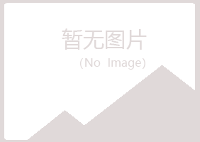 咸丰县埋没音乐有限公司